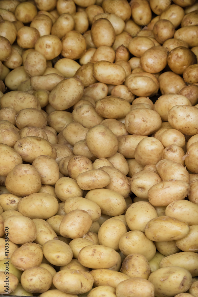 有機栽培のジャガイモ Potatoes without organic crops 有機栽培のジャガイモ Potatoes without organic crops