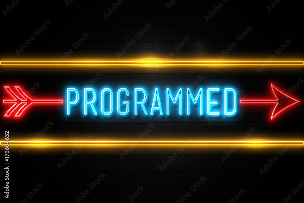 Programmed  - fluorescent Neon Sign on brickwall Front view