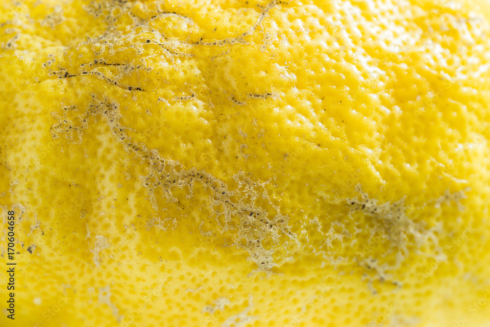 Zitronenschale im Detail mit Schorf und Poren