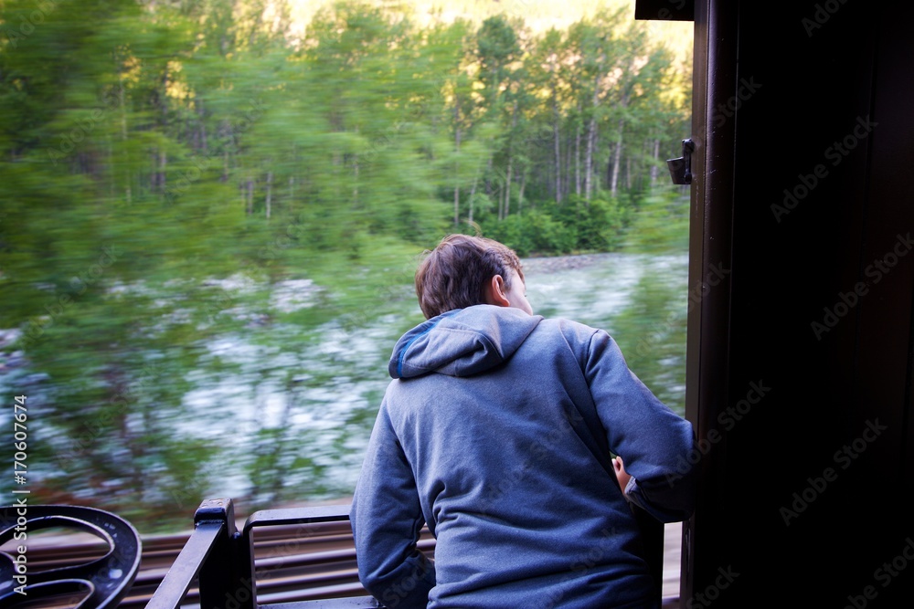 Fototapeta premium Alaskan Trains