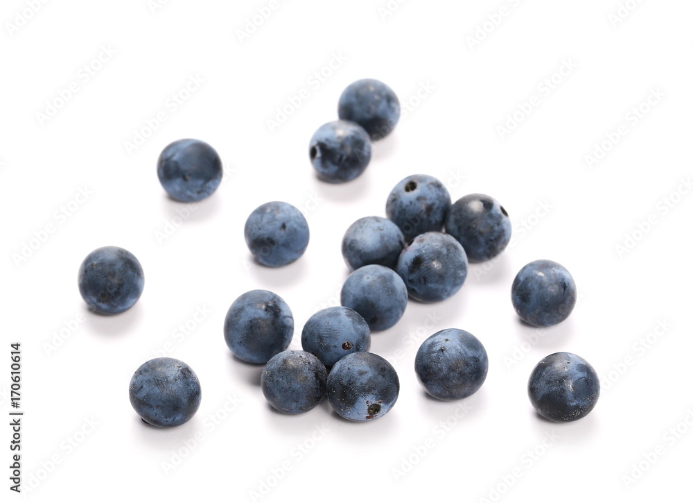 Fresh blackthorn berries pile, prunus spinosa isolated on white background Fresh blackthorn berries pile, prunus spinosa isolated on white background
