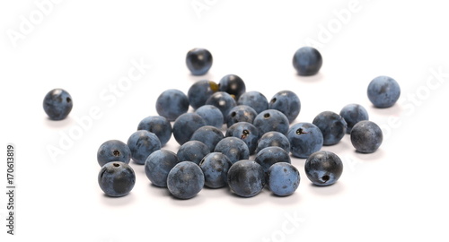 Fresh blackthorn berries pile, prunus spinosa isolated on white background