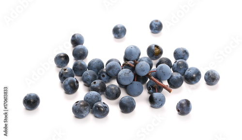 Fresh blackthorn berries pile, prunus spinosa isolated on white background