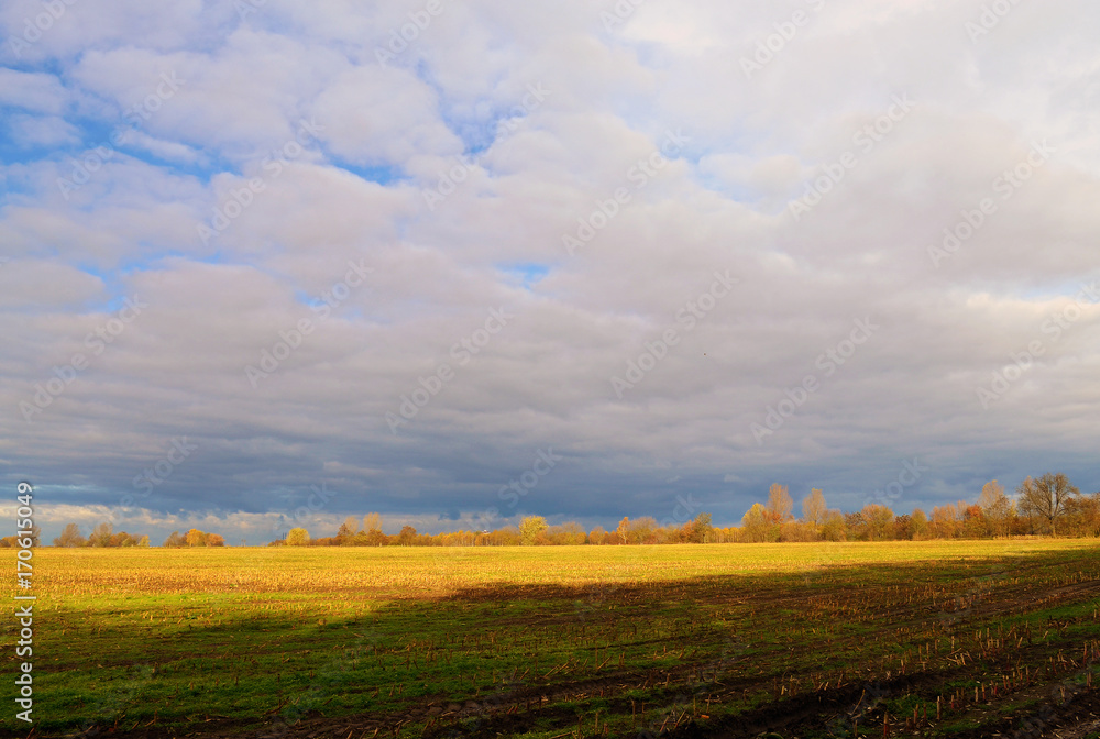 Autumn stubblefields under a sunny and stormy weatherfront