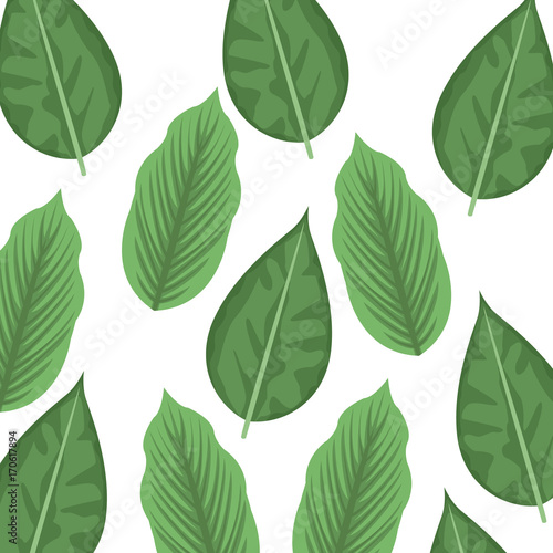 Green Leaves background icon vector illustration graphic design © Jemastock