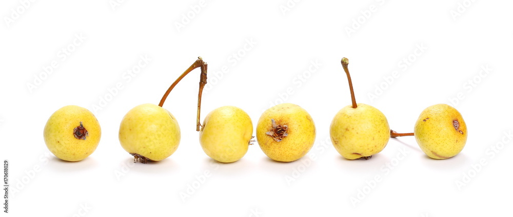 European wild yellow pears, pyrus communis with twig isolated on white background European wild yellow pears, pyrus communis with twig isolated on white background