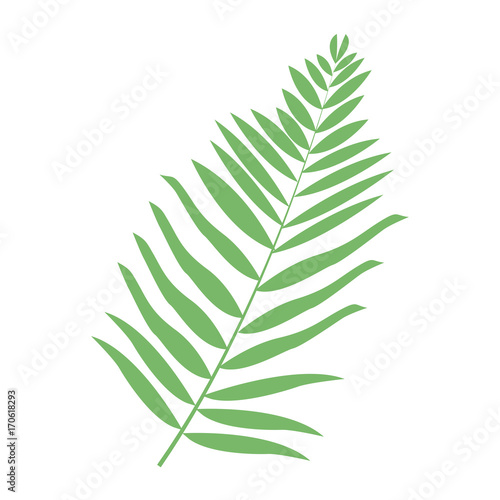 Bouquet of leaves icon vector illustration graphic design
