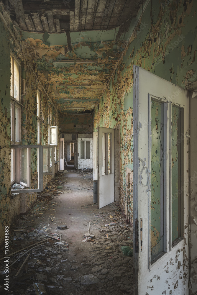 Fototapeta premium Lost Hall and Doors
