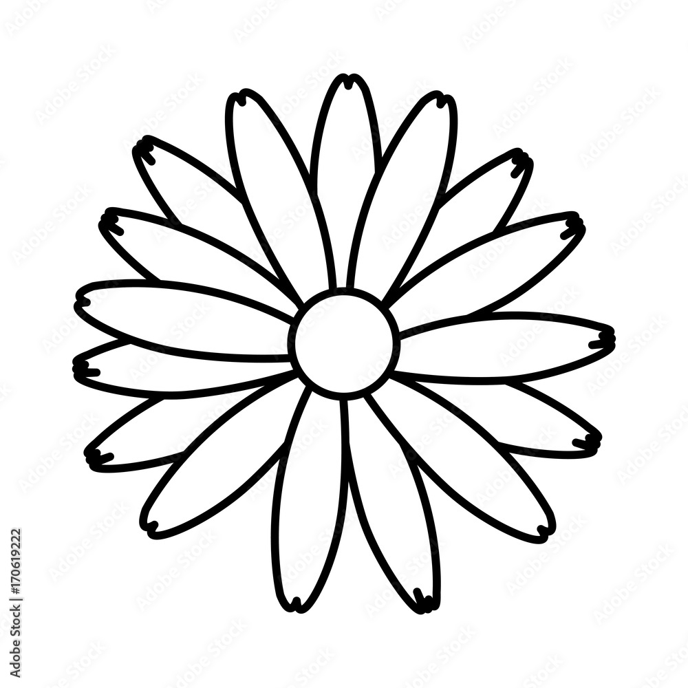 Beautiful decorative flowers icon vector illustration graphic design Beautiful decorative flowers icon vector illustration graphic design