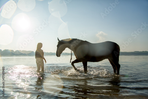 Pferd im Gegenlicht im See