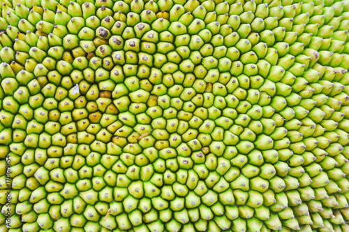 jackfruit texture 