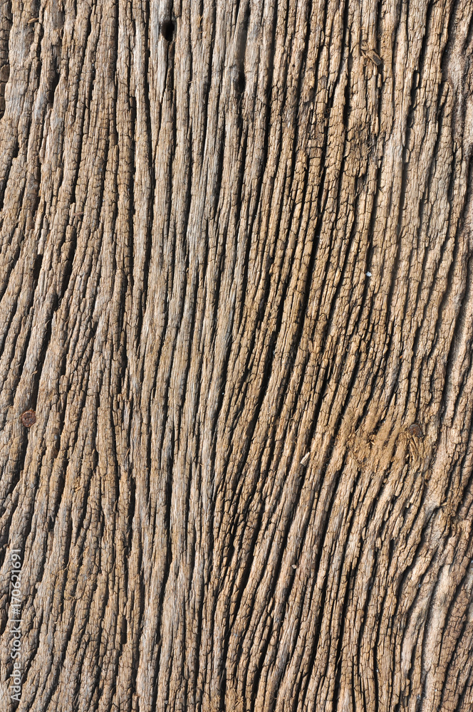 old wooden board,old wood plank,Old wood background,wood texture background