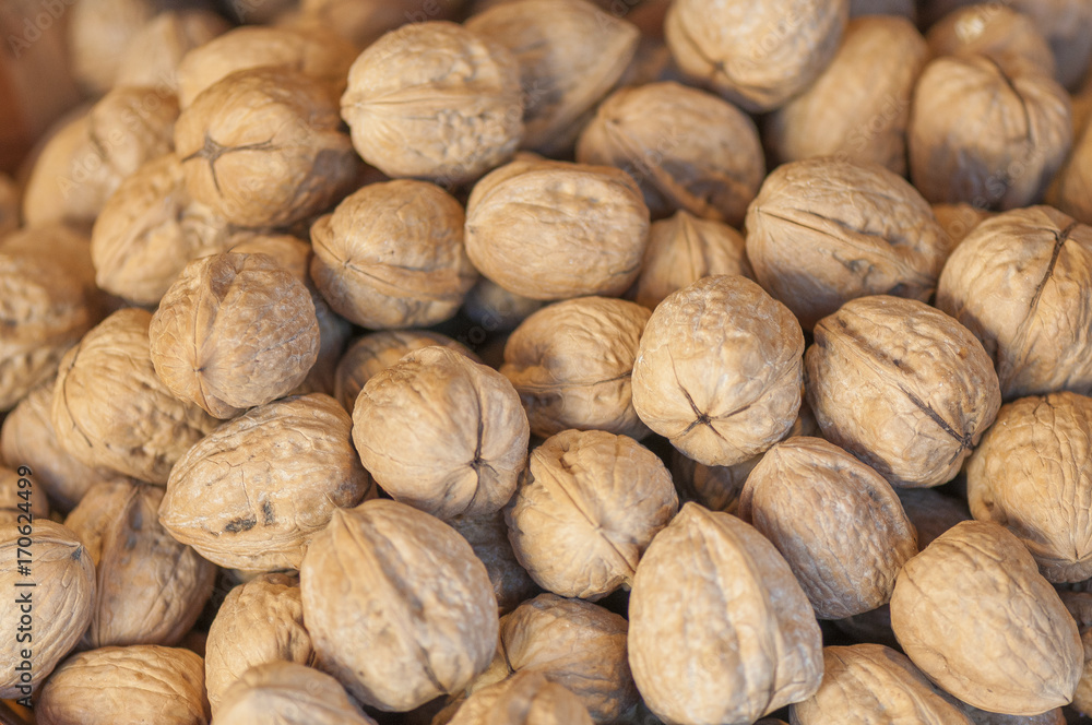 NUECES NUECES
