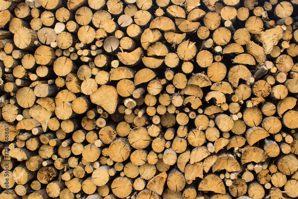 Firewood Firewood