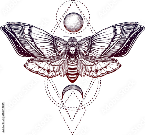 black and white deadhead butterfly on sacred geometry vector illustration