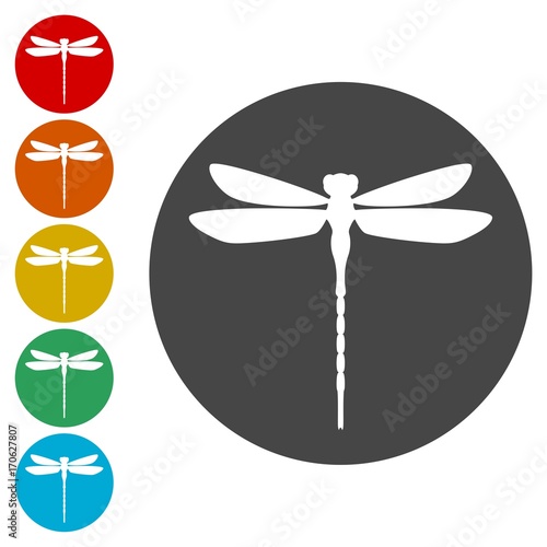 Dragonfly insect vector icons set illustration 