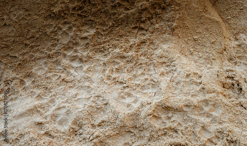 Close Up Of Surf On Sandy Beach