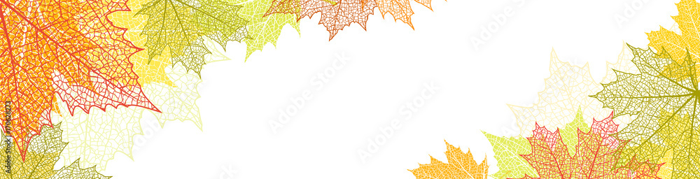 Fototapeta Charakter transparent z liści jesienią