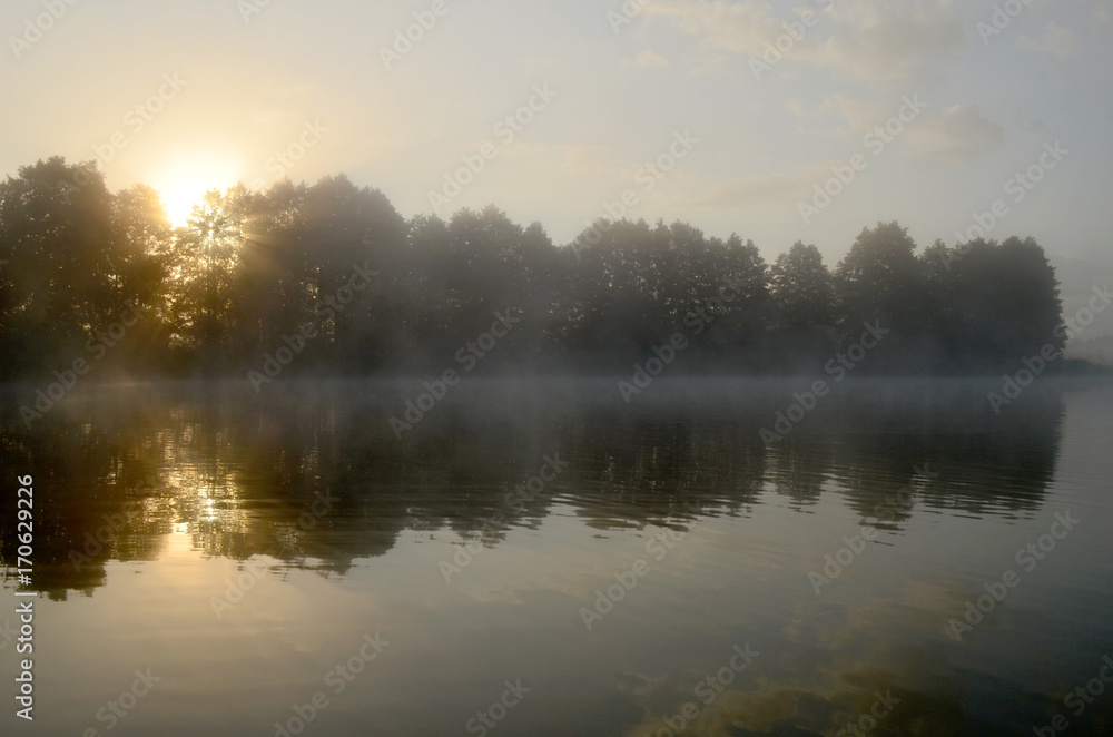 Lake morning mist summer