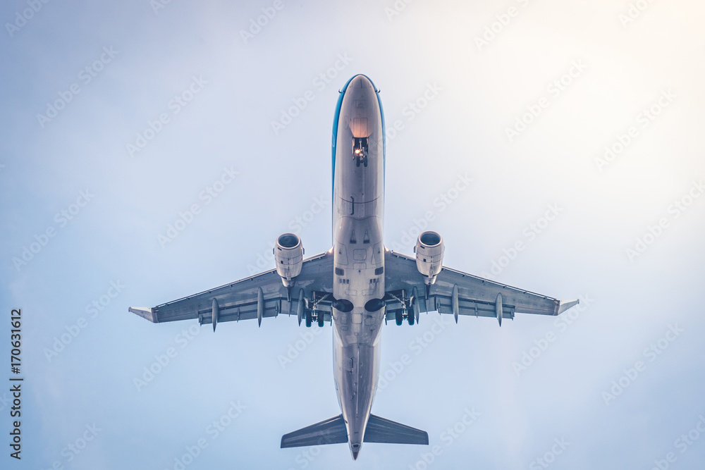 Fototapeta premium samolot, samolot, latający samolot