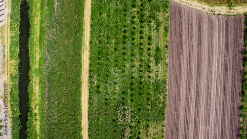 Fertile land and crops in southern Croatia in Neretva Valley photo