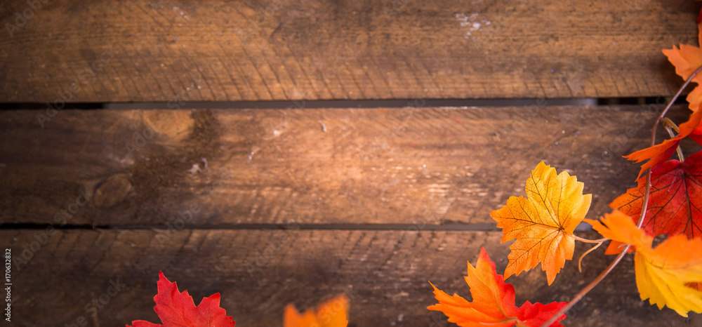 Obraz premium Bunte Herbstblätter