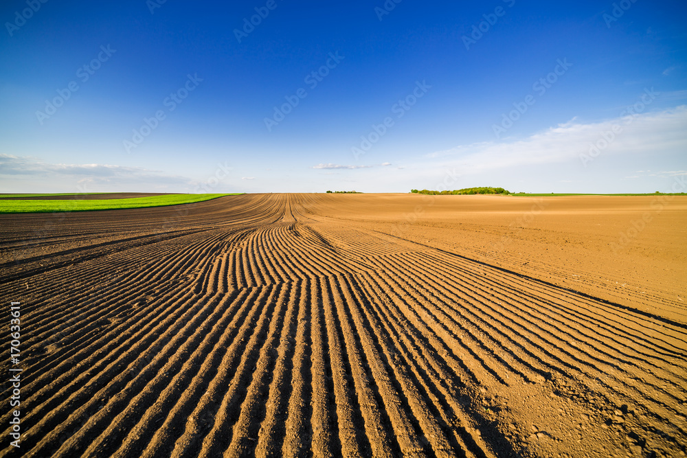 Agricultural landscape, arable crop field. Arable land is the land