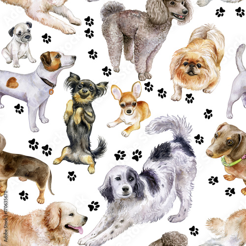 Fototapeta Naklejka Na Ścianę i Meble -  Seamless pattern with dogs. Dogs on a color background. Watercolor. Illustration.