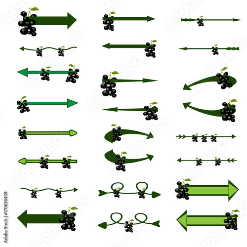 Arrows. Set of creative colored vector arrows with berries. Original arrow-shaped elements with a berries. Vector illustration.