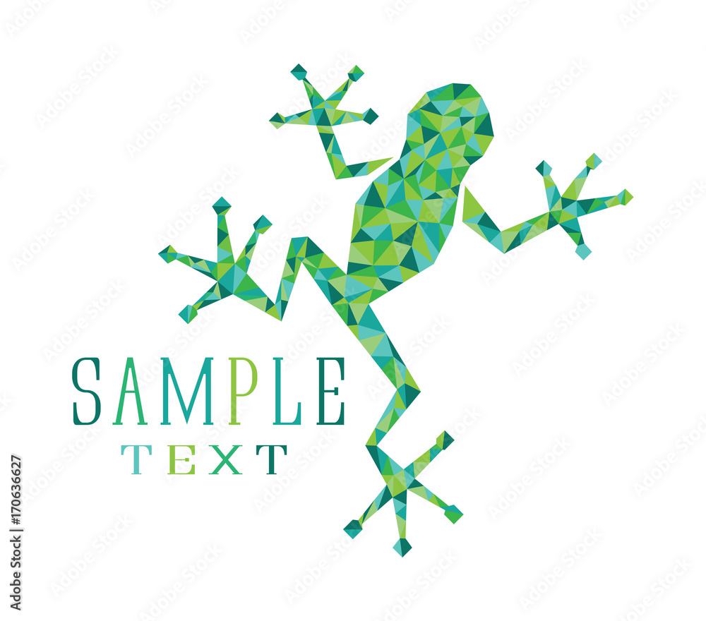 Fototapeta premium frog mosaic