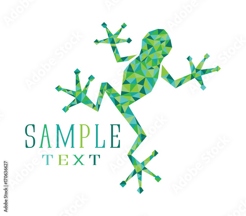frog mosaic