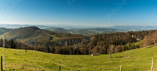 Blick ins Grüne
