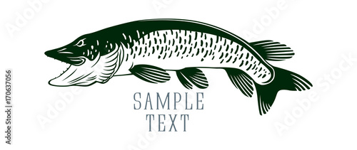 fish pike