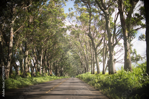 tunnel through paradise