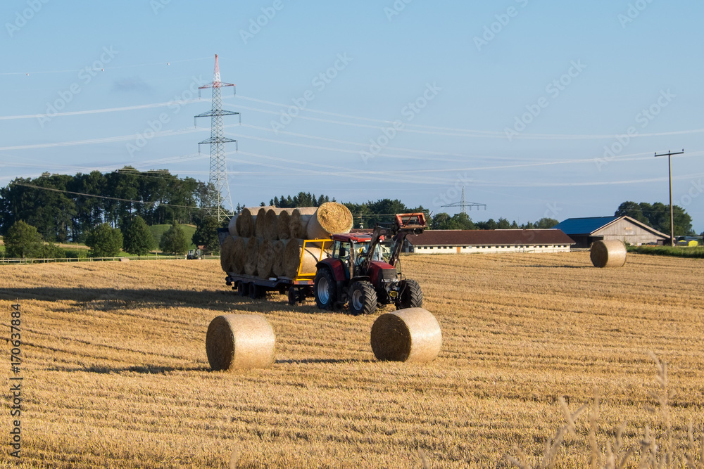 Obraz premium Bauer bei der Heuernte / Heuballen 