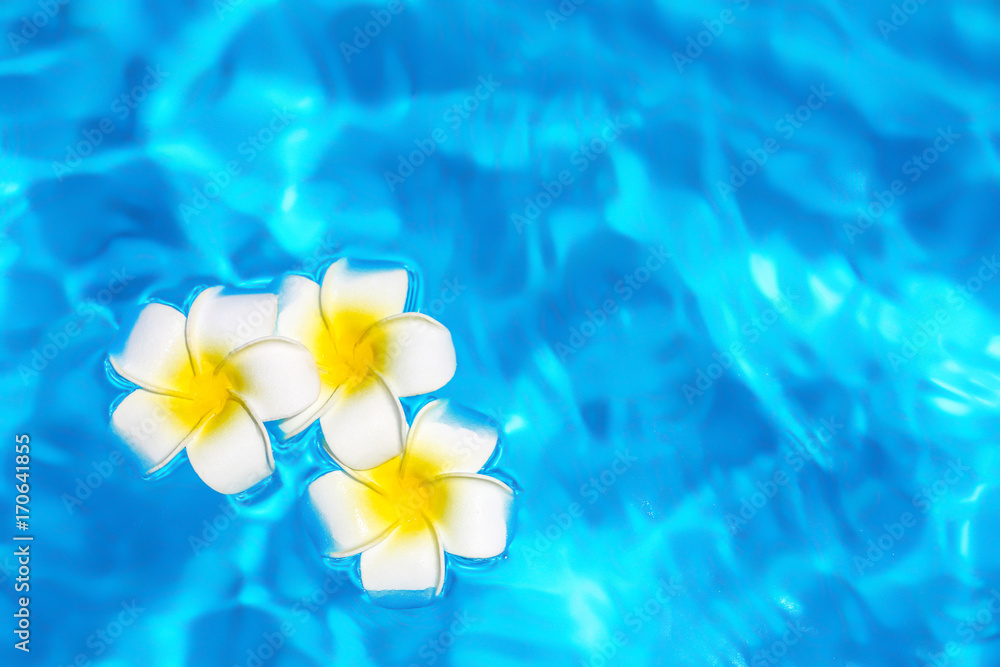 Flowers in blue clean water of swimming pool. Spa concept Flowers in blue clean water of swimming pool. Spa concept