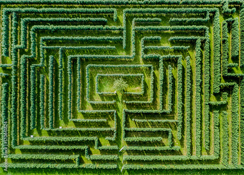 Aerial view of maze made of trees and bush photo