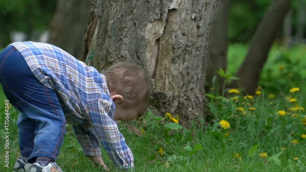 Little boy running around on the grass in the park. Little boy running around on the grass in the park.