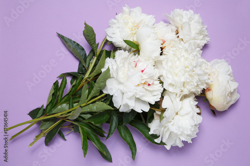 Fototapeta Naklejka Na Ścianę i Meble -  A bouquet of white peonies lies on a lilac background.