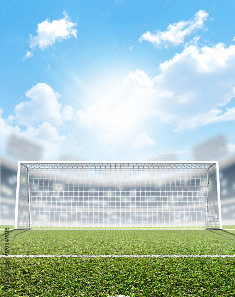 Fototapeta premium Sports Stadium And Soccer Goals