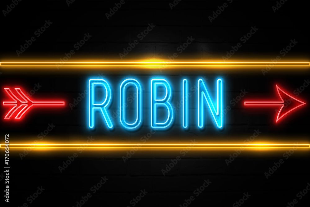 Robin  - fluorescent Neon Sign on brickwall Front view
