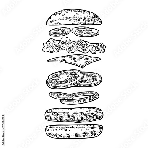 Burger with flying ingredients on white background. Vector black vintage engraving