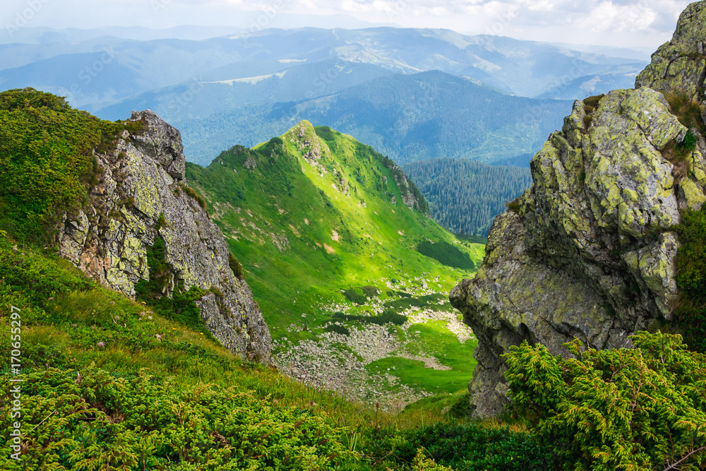 Fototapeta premium Landscape, travel, tourism. Green mountains, trees, grass. Horizontal frame