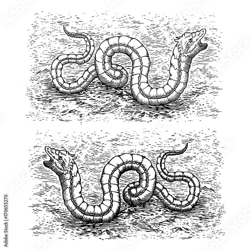 Sea Serpent in the style of Olaus Magnus (1490 - 1557)