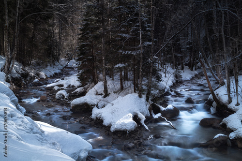 Mountain river in winter forest