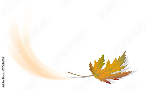 Herabfallendes Ahorn Blatt im Herbst
Herbstlaub mit Laubfärbung
Vektor Illustration isoliert auf weißem Hintergrund