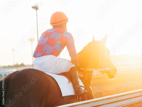 Fototapeta Naklejka Na Ścianę i Meble -  サラブレット