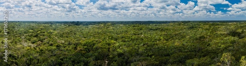 Aerial view of the thick jungle around the ruins of the Mayan city Coba, Mexico