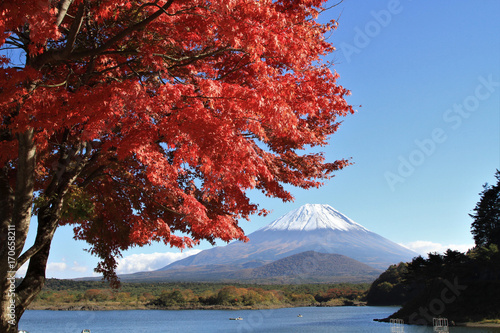 精進湖の紅葉と富士山 © 703443uno