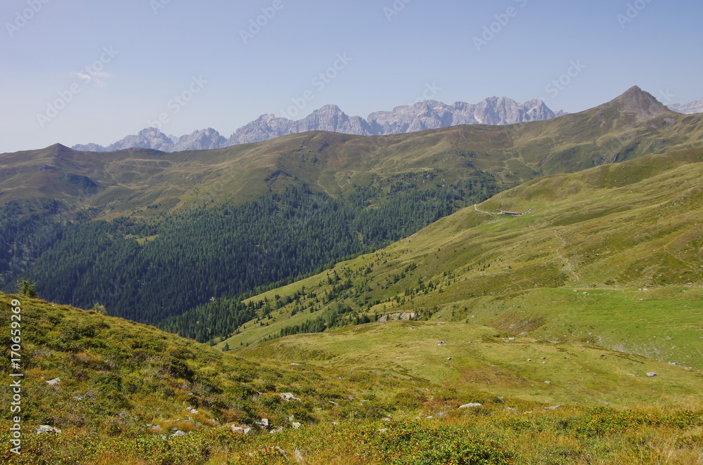 Green valley in the Comelico mountains